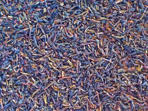 Le Darjeeling Chamong